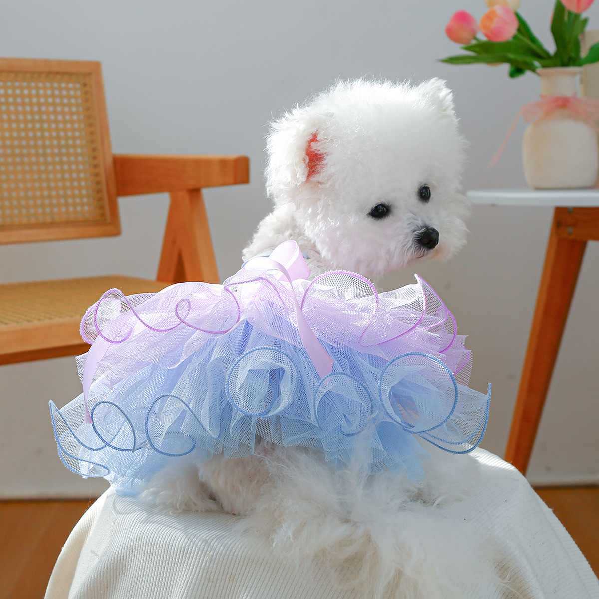 PETCIRCLE宠物圈中小型犬衣服宠物用品狗狗衣服星黛梦幻纱裙