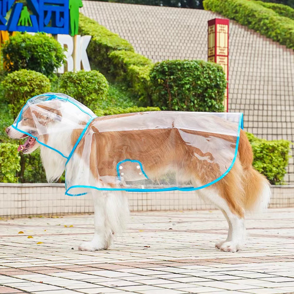 宠物透明包边雨衣外出遛狗神器柯基金毛拉布拉多犬狗狗衣服批发